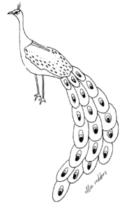 This illustration features a stylized peacock with its elaborate tail feathers displayed, drawn in black and white with signature.